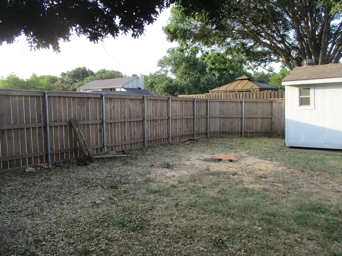 Cleared yard after professional tree removal in Long Beach